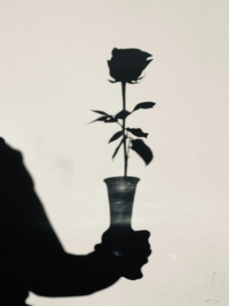 shadow work
