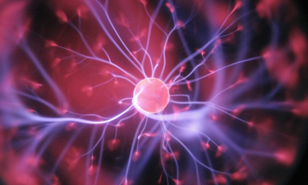 The Science behind Manifestation: Neuroplasticity