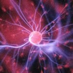 The Science behind Manifestation: Neuroplasticity