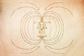 Law of Attraction Guide